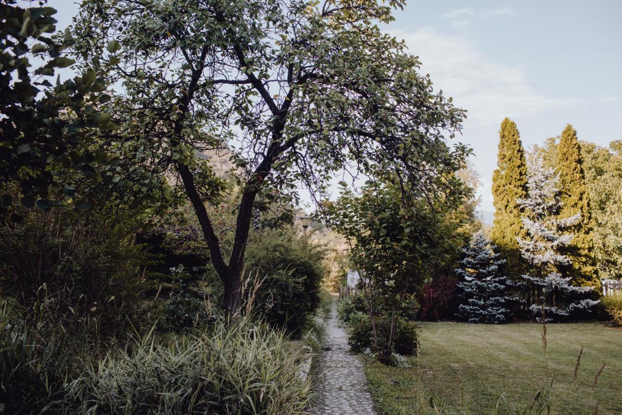 Vila Missy Deva Exterior photo